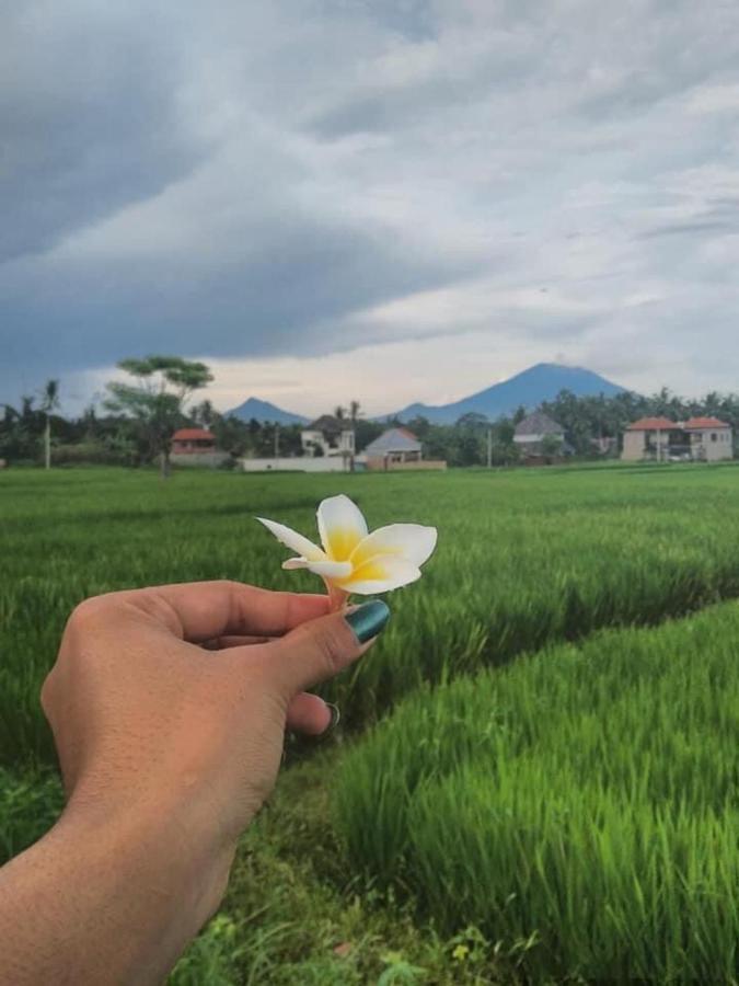 Svaha Ubud Luaran gambar
